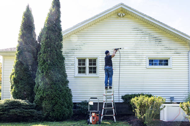 Best Sidewalk Pressure Washing  in Washburn, IL