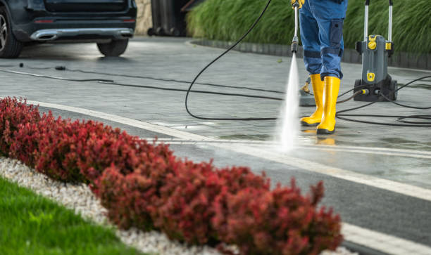 Best Roof Pressure Washing  in Washburn, IL